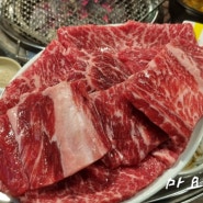 정자역 근처 맛집 친절하고 맛난 생소갈비 고기집 남영동양문(4)