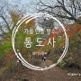 [경남/양산] 부산근교 가을여행 단풍 명소 백련암 은행나무 통도사