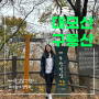 서울 대모산 구룡산 등산코스 2시간 코스 (대모산자연공원~대모산~구룡산~코이카)