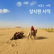 내몽고 여행 샹사완 사막 响沙湾 - 낙타 타기, 모래썰매 체험