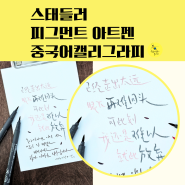 스태들러 피그먼트아트펜 세트 11월 중국어 캘리그라피