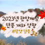 담양 관방제림 / 담양 관방제림 단풍 / 담양 단풍 /2023년 담양 관방제림 단풍