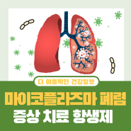 마이코플라즈마 폐렴 증상 원인 중국 전염 및 항생제 치료