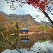 가을 단풍 내장산 국립공원 - 우화정, 내장사 한 시간 산책 코스