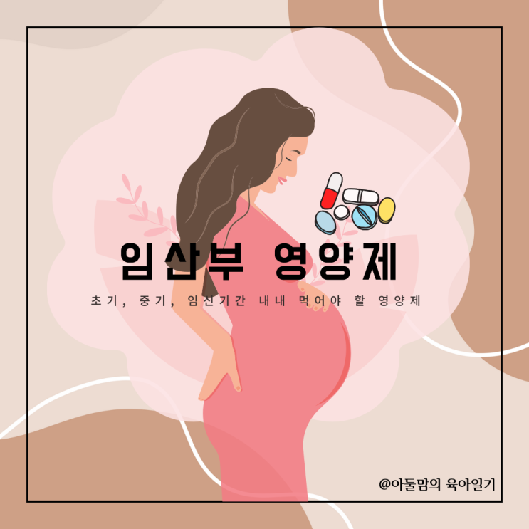 임산부 시기별 영양제 복용시기 정리 : 네이버 블로그