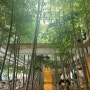 의정부 대형 식물원 카페 국립공원에서 초록 힐링
