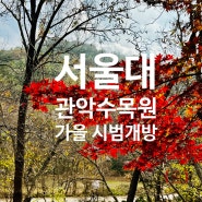 서울대 관악수목원 시범개방 및 우회등산로(최근 단풍상황)