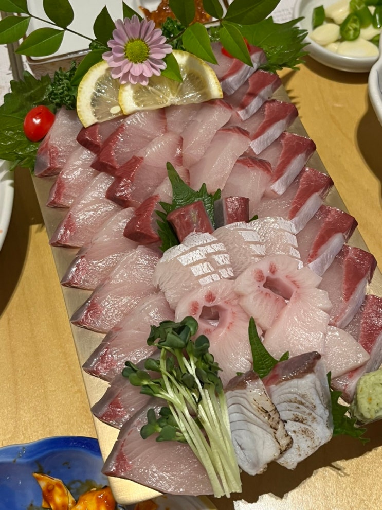 올해 첫 대방어회는 대구 방어맛집 방어진 수성못점에서! : 네이버 블로그