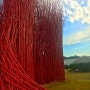 영월의 붉은 대나무 숲 - 젊은달와이파크(Youngwol Y Park)