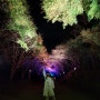 (독립기념관/단풍나무길) 천안독립기념관 야간개장 디지털파사드 단풍나무숲길 천안 목천 가을나들이 추천