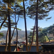 늦가을 쉬운 등산 코스 남한산성 수어장대(단풍은?)