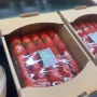 신세계백화점 센텀시티 과일코너 딸기가 나왔어요!