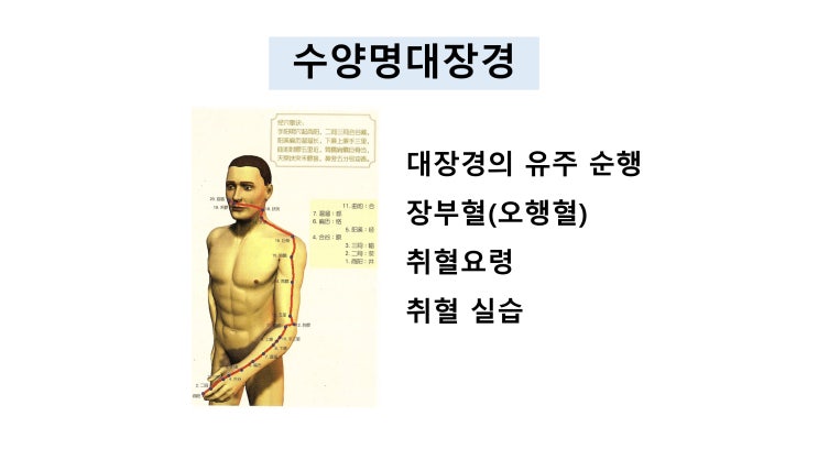 [체질침법] 수양명대장경의 유주 순행 : 네이버 블로그