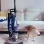 [강아지 털갈이 시기] 집안 청소는 물론 강아지 털제거까지 완벽한 컬비 청소기 사용 후기