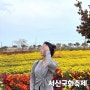 [충남] 충남 여행지 :: 서산 국화축제(+주차) / 가을 꽃축제