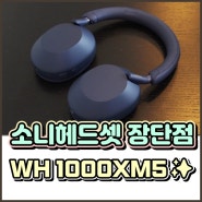 소니 WH 1000XM5 블루 후기 및 특징 정리