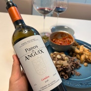 고기와 함께 하기 좋은 레드 와인 추천 Pagos de Anguix Costalara