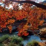 가을 단풍 명소 순창군 강천산군립공원 다녀왔어요