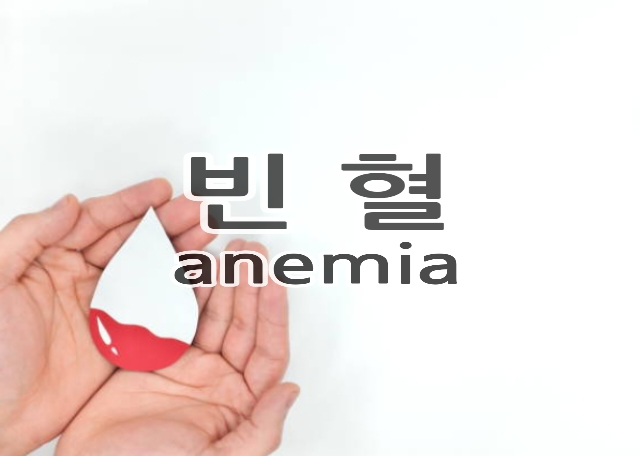 빈혈 원인과 증상, 철결핍성 빈혈에 좋은 음식 알아보기 : 네이버 블로그