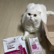 고양이 영양제 - 시그니처바이 비오탁 캣; 관절&유리너리 보조제