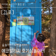 [김포] 아이랑 가볼만한 곳, 에코빌리지 호기심놀이터 할로윈 페스티벌