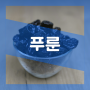 푸룬 건자두 효능 프룬 부작용 : 변비 설사 가스 칼로리 Prune 뜻