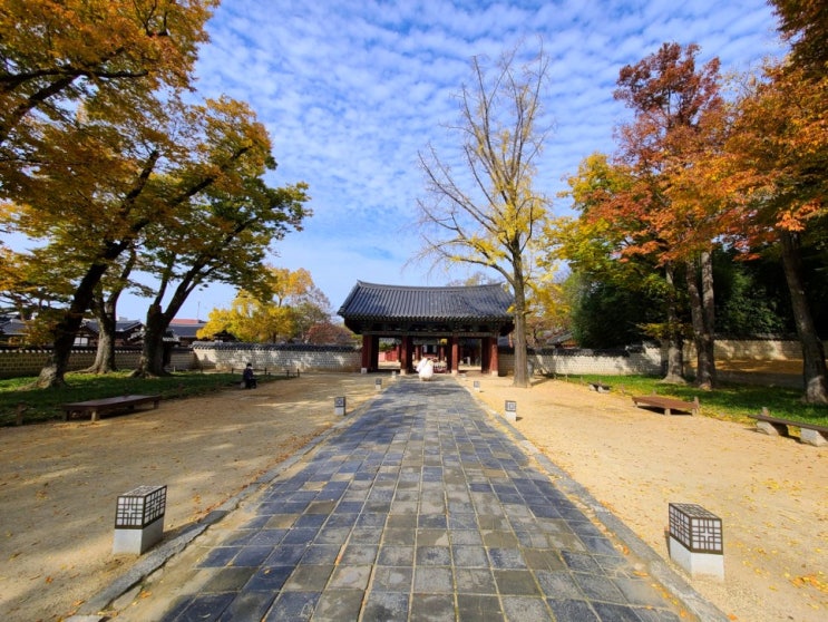 전주 경기전 전주 한옥마을 단풍 명소 드라마 촬영지 영화 촬영지 사진 찍기 좋은 곳 : 네이버 블로그