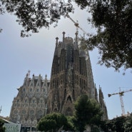 [ 스페인여행 ] 바르셀로나 까사 밀라, 까사 바뜨요, 사그라다파밀리아 성당 : 가우디투어 정말 강추