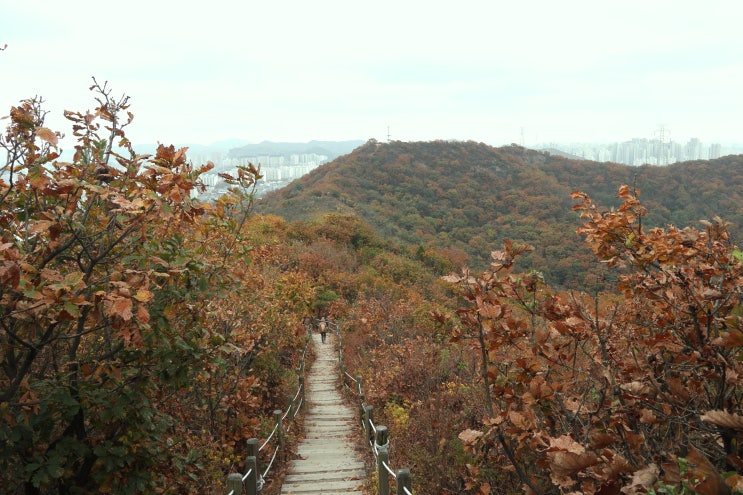 서해랑길 인천구간 96코스: 자유공원-신포시장...