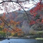 만추의 백암산白巖山과 백양사