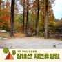 [대전 장태산자연휴양림] 단풍캠핑 장태산야영장 캠핑 주차장 예약 후기