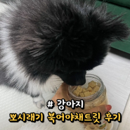 뽀시래기 강아지 동결건조간식, 북어야채트릿 후기