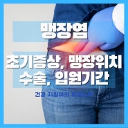 남자 여자 맹장 위치 맹장염 초기 증상 수술 입원기간