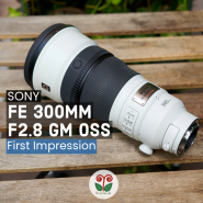 [올페의 렌즈 첫인상] 소니 FE 300mm F2.8 GM OSS (SEL300F28GM)