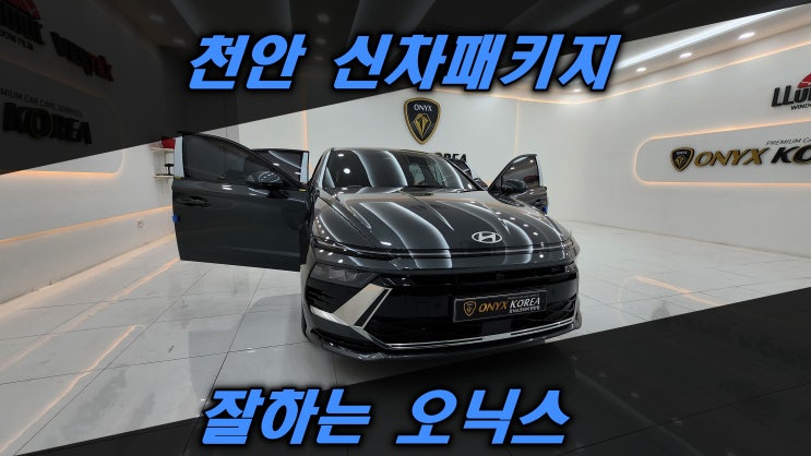 천안 신차 패키지 검수/시공까지 완벽했던 오닉스 코리아 : 네이버 블로그