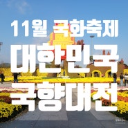 11월 가을 국화꽃 축제 광주 전남 함평 대한민국 국향대전