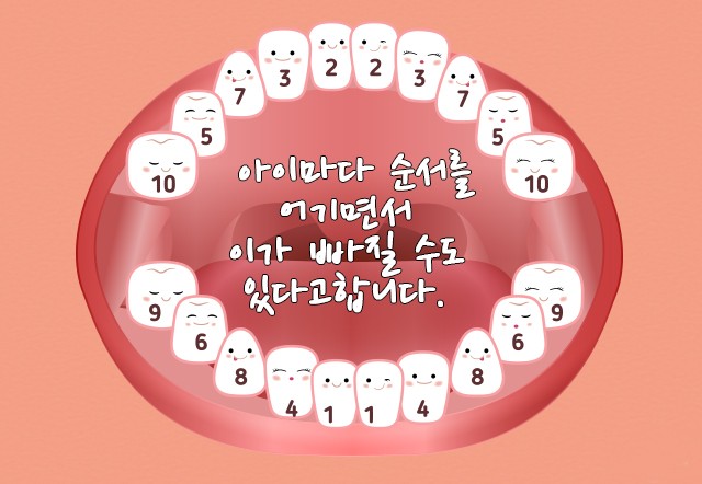 흔들리는 치아 빼기, 유치 발치 방법 알아보자.(치과 가야하나?) : 네이버 블로그
