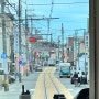 도쿄 근교 여행 가마쿠라 에노덴 기차 여행 코스