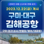 대구/구미↔김해공항 리무진 버스 여행 신규(재)운행 정보