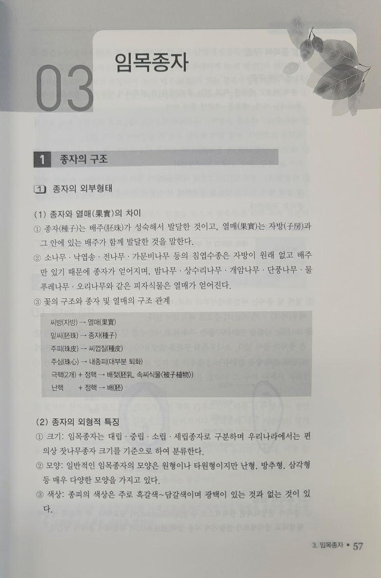 임목종자, 종자의 구조, 산지, 채종림 : 네이버 블로그