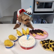 2만원대로 호화로운 강아지 생일케이크, 강아지 생일상 차리기 (해피팡팡 강아지생일케이크)