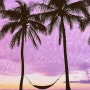 <하와이 한달 살기-후기 7> 오바마가 사랑한 카일루아비치 Kailua Beach Park, 베케이션오너쉽 HGV,