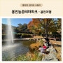 [용인 아이와 가볼만한곳] 용인농촌테마파크. 11월 국화축제와 전통체험놀이 즐기는 주말힐링 자연명소