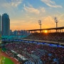 한국시리즈 4차전 LG 트윈스 vs KT 위즈, 중앙 스카이존 직관 후기