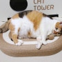 먼지 날림 없어서 깔끔한 후즈펫 고양이 초대형 사이잘삼 스크래쳐 침대