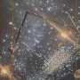 홍익대의 숨겨진 보석, '별헤는잔'에서의 특별한 밤