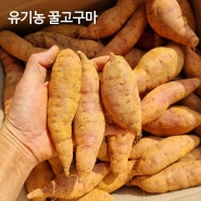 유기농 꿀고구마 <베니히루카> 판매해유~