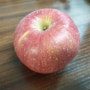 제천 가을농장 사과로 아침 건강지키는 귀농아씨