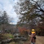 대전 근교 가볼만한 곳 / 공주 마곡사 단풍 / 사진찍기 좋은 핑크뮬리 정원 / 공주 카페 춘소커피