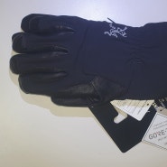 20231113 아크테릭스 VENTA AR GLOVE 고어텍스 장갑 구매하기